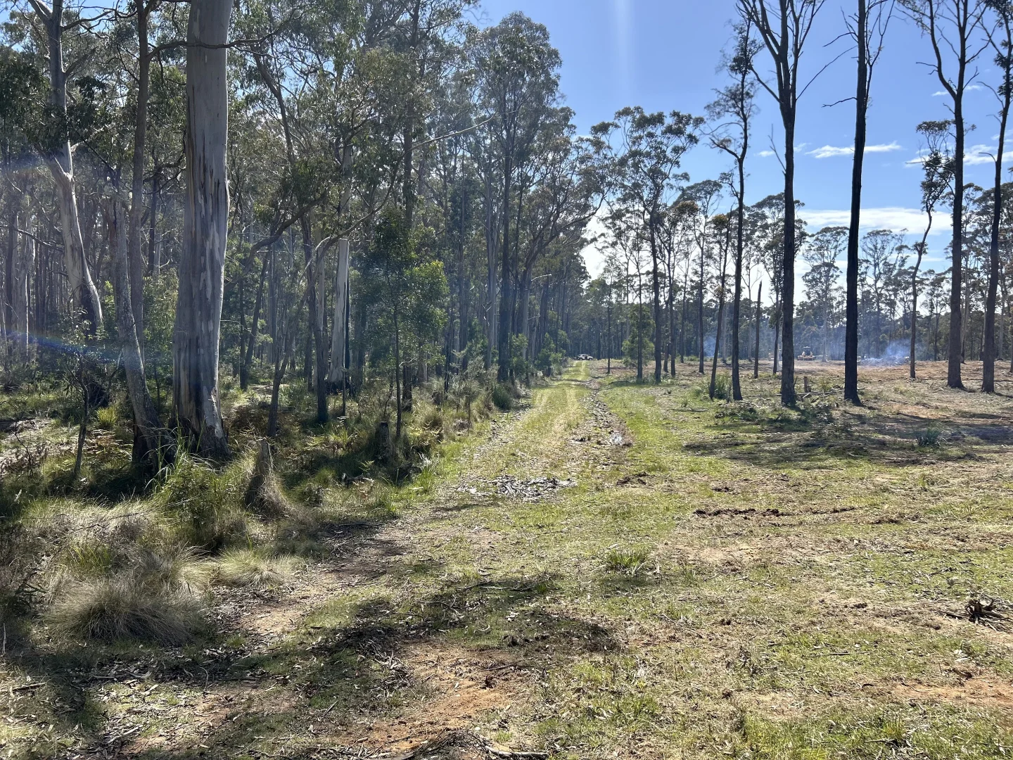 Additional image 7 of 175 Blighs Road, Trentham VIC 3458