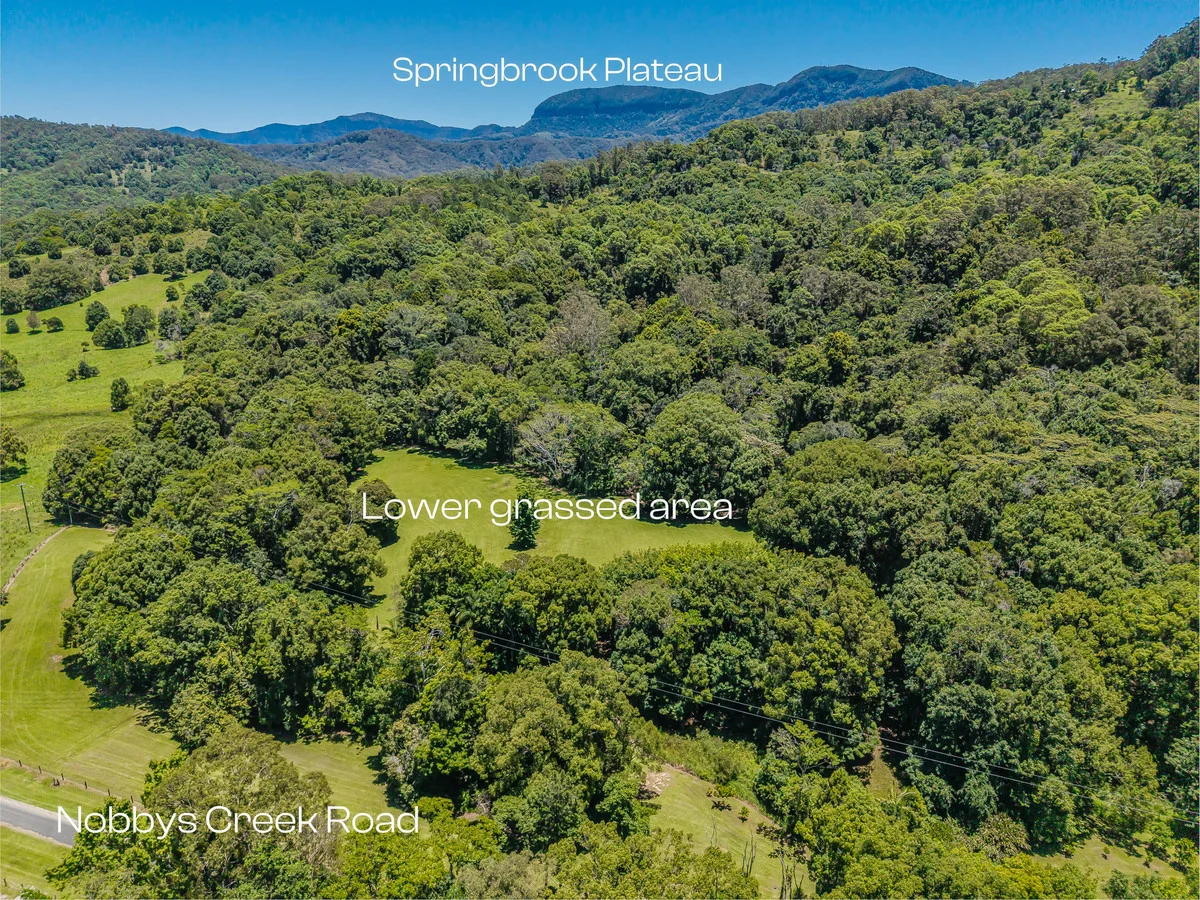 Additional image 9 of 837 Nobbys Creek Road, Nobbys Creek NSW 2484