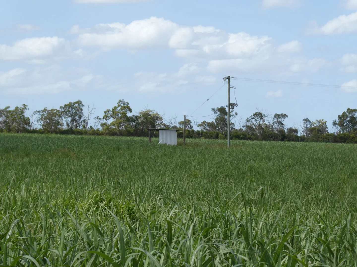 Additional image 17 of 3392 Childers Road, Gregory River QLD 4660