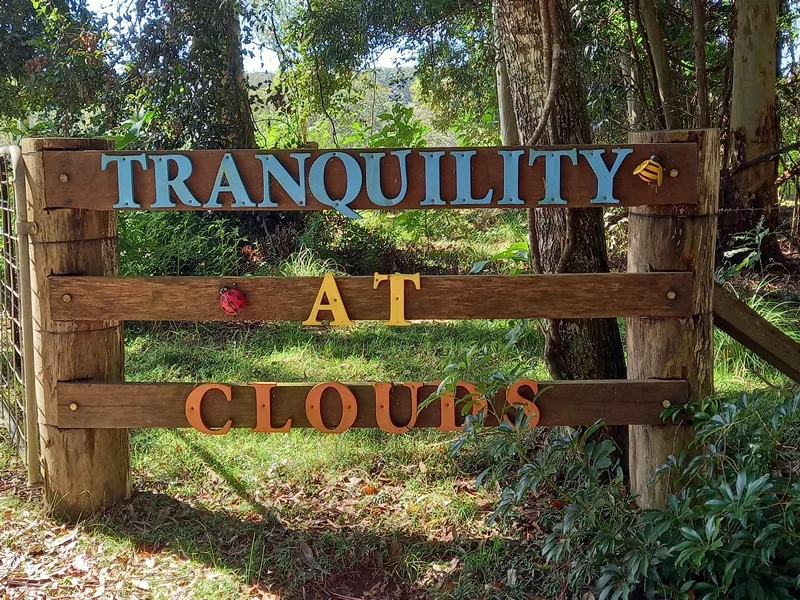 Additional image 25 of Dorrigo NSW 2453