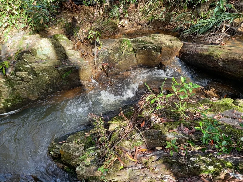 Additional image 21 of Dorrigo NSW 2453