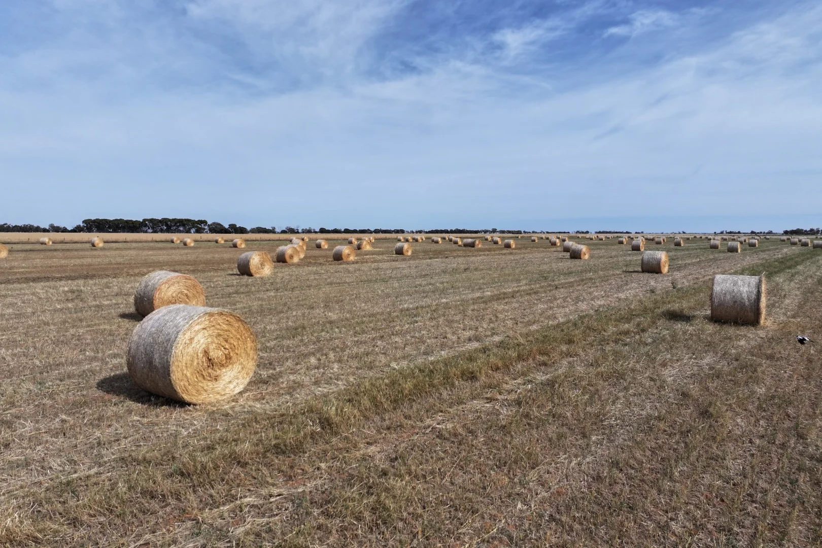 Additional image 3 of 1800 Mt Terrick Road, Roslynmead VIC 3564