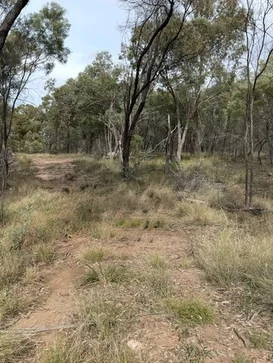 Additional image 2 of Lot 29 Gazzards Road, Tara QLD 4421