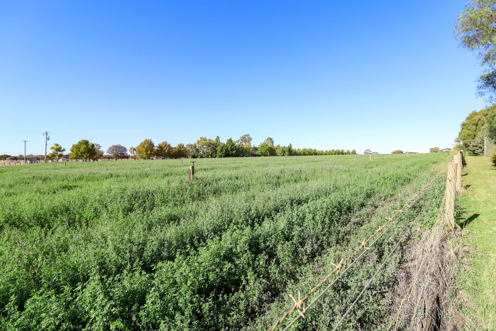 Additional image 13 of 81 Back Boga Road, Swan Hill VIC 3585