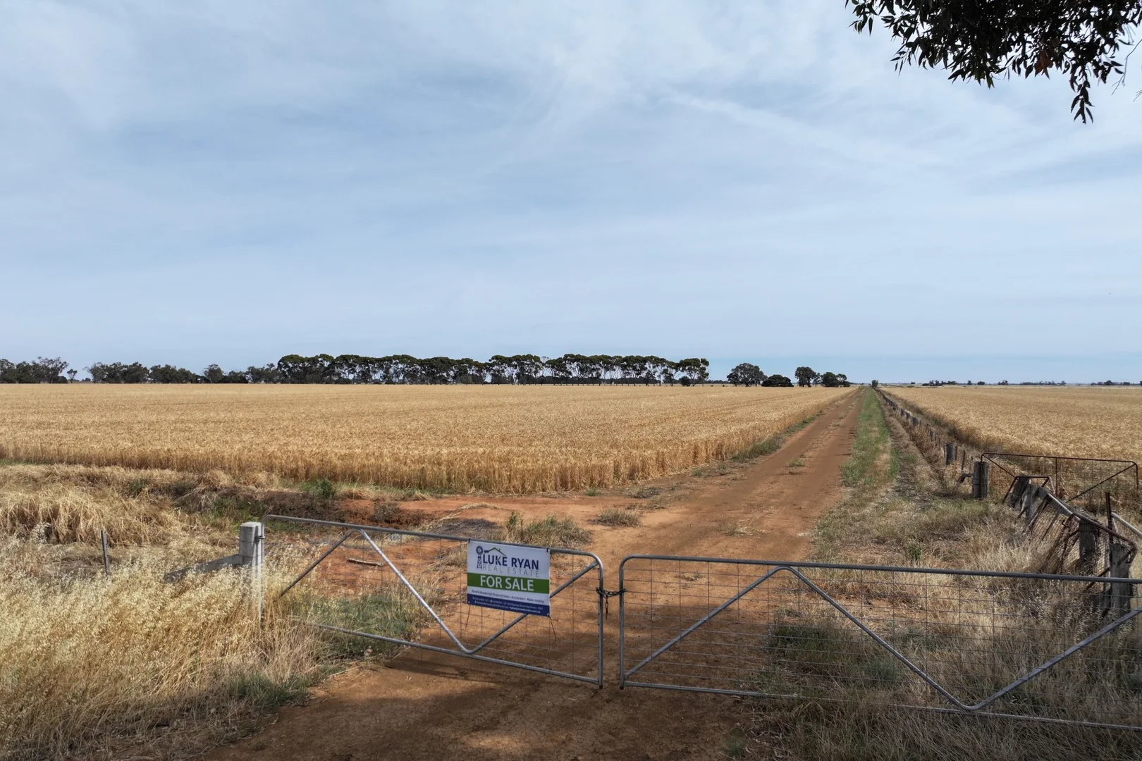 Additional image 15 of 1800 Mt Terrick Road, Roslynmead VIC 3564