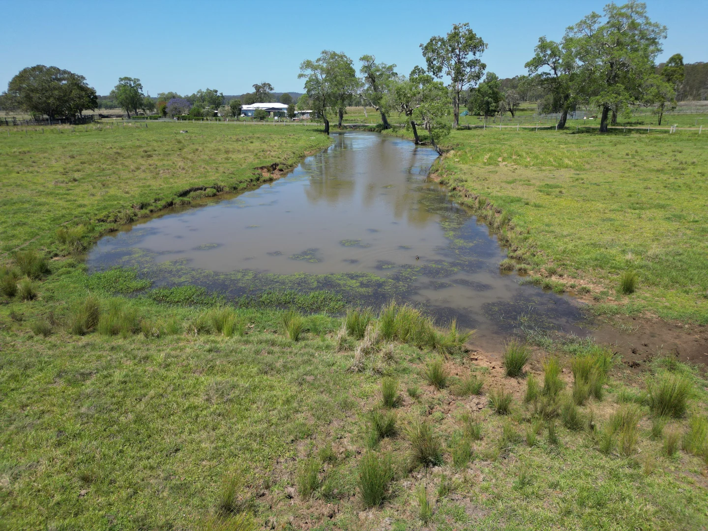 Additional image 4 of 140 Hogarth Range Road, Mongogarie NSW 2470