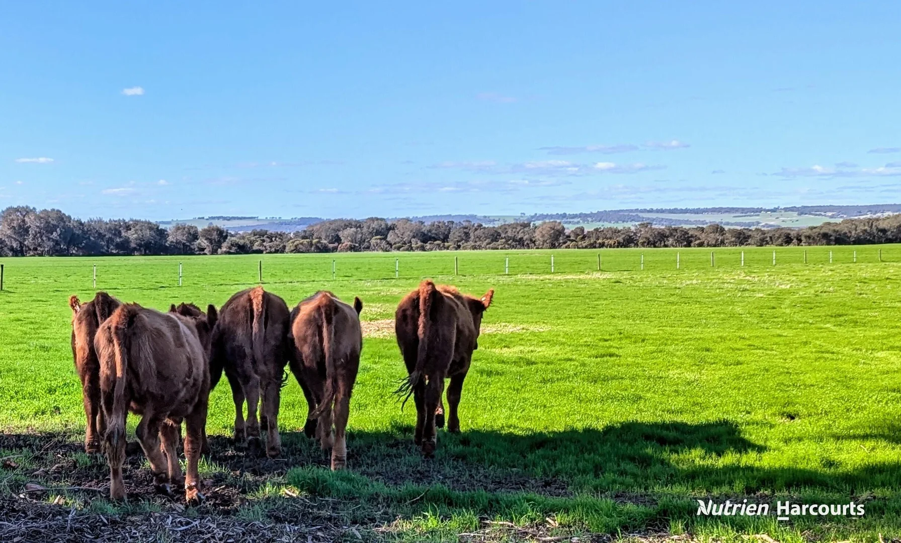 Additional image 15 of 271 Mayfield Road (Beermullah), Gingin WA 6503