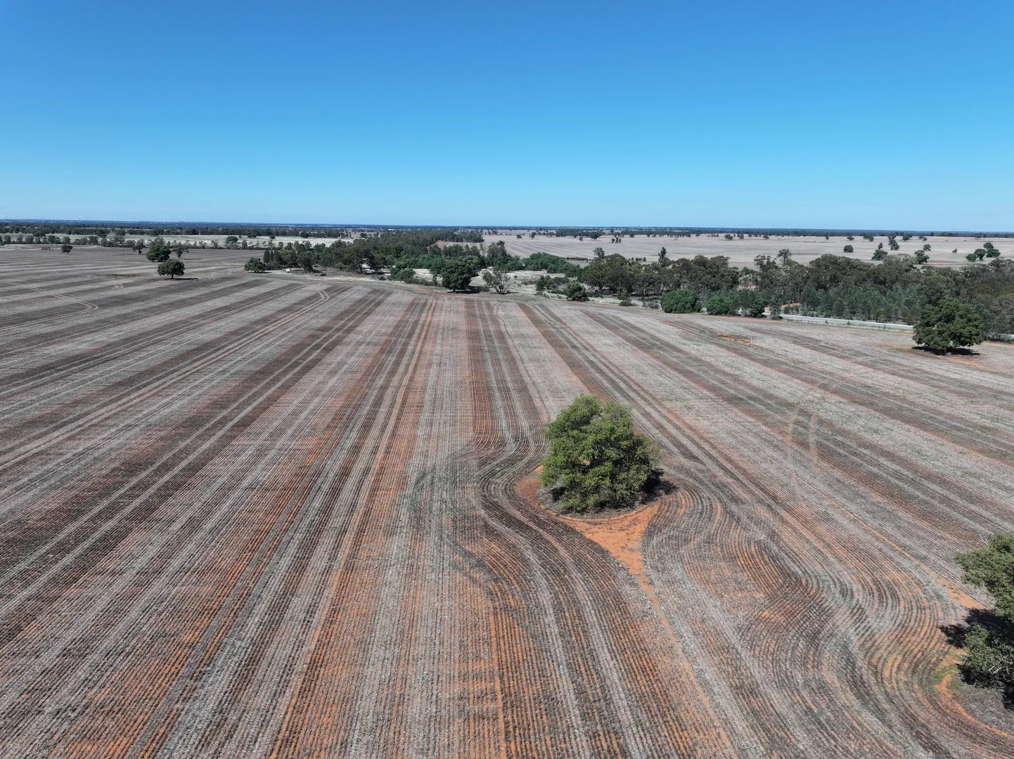 Additional image 18 of Shannonvale & Elmore Strontian Road, Boree Creek NSW 2652
