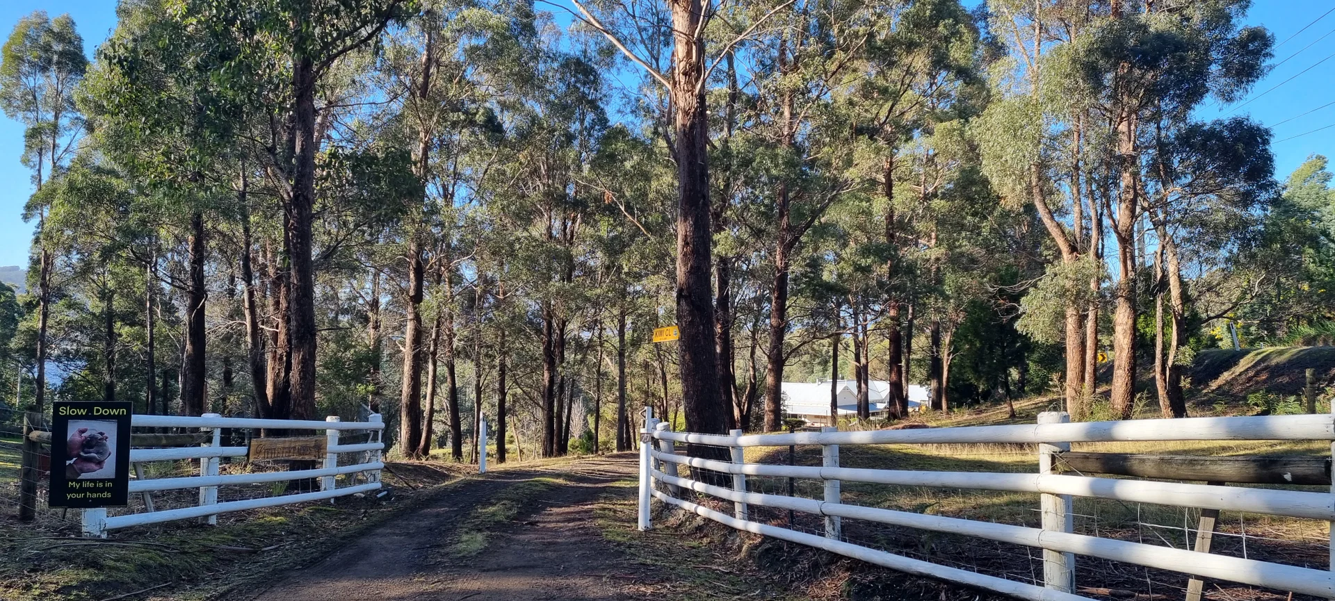 Additional image 3 of 77 Esperance Coast Road, Surges Bay TAS 7116