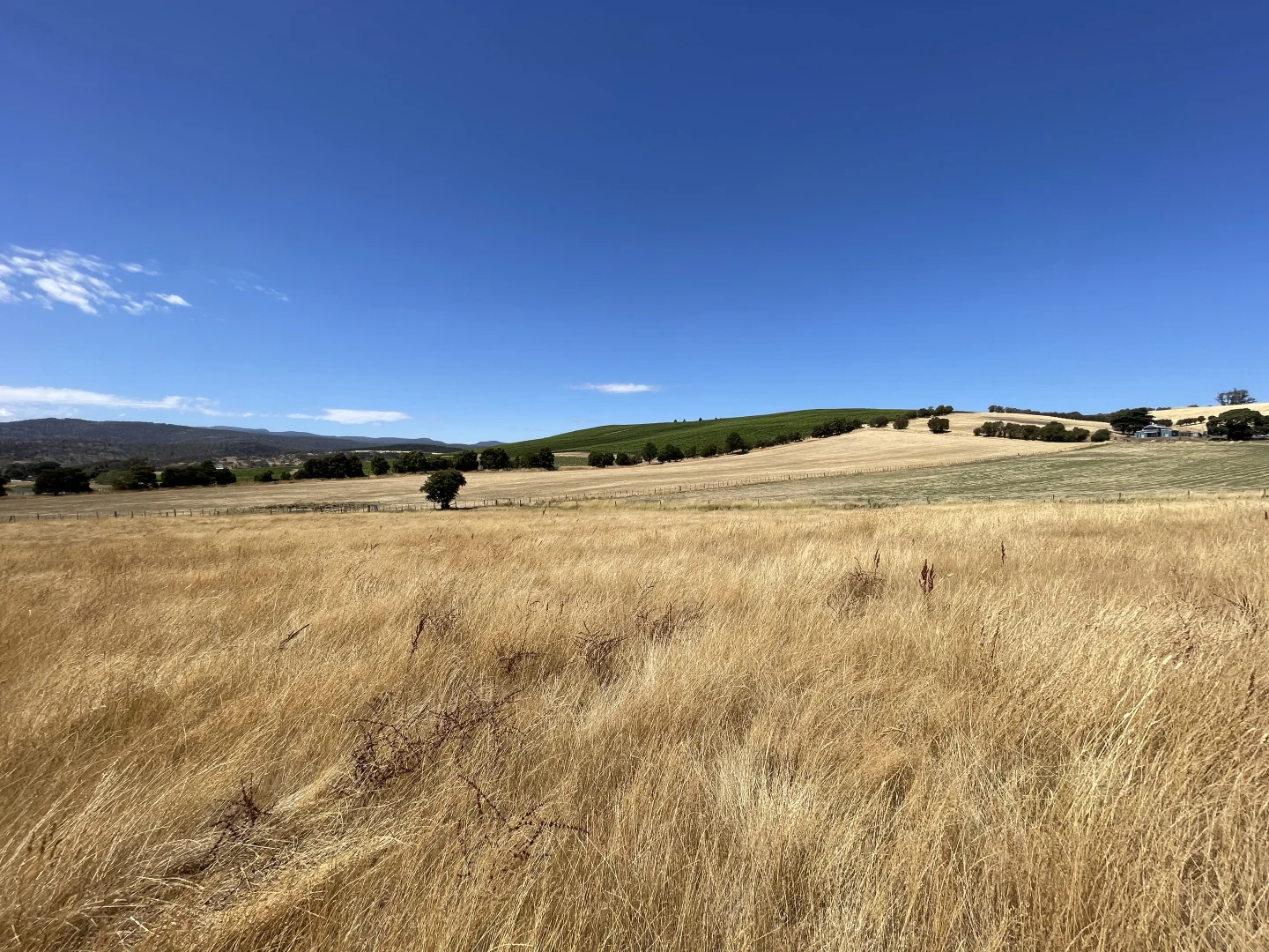 Additional image 24 of 25 White Hills Road, White Hills TAS 7258