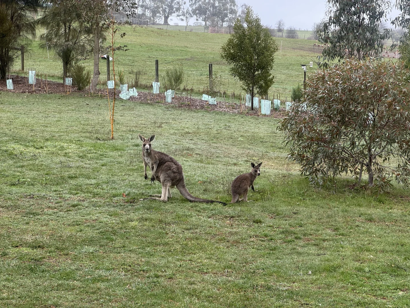 Additional image 19 of 1053 Trentham Road, Tylden VIC 3444