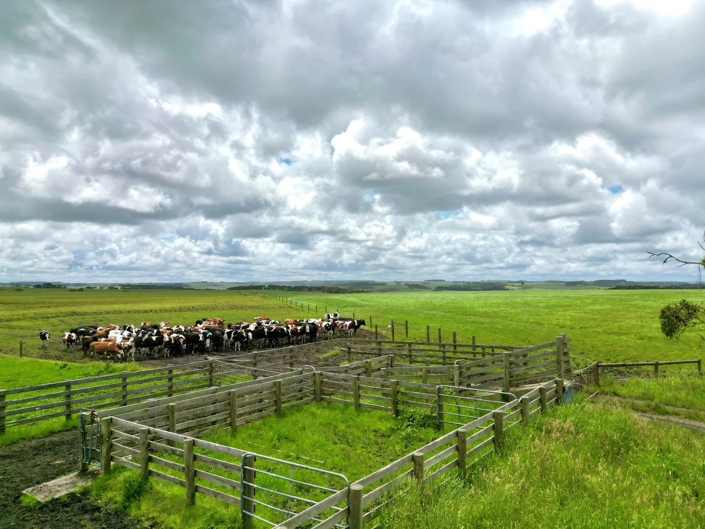 Smokey Point Road, Port Campbell VIC 3269