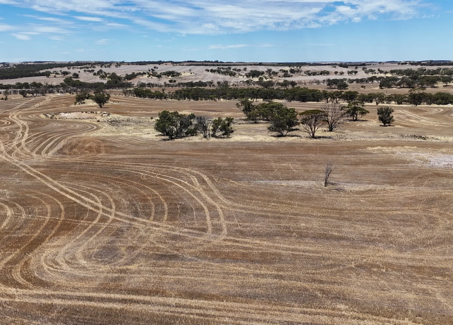Additional image 8 of 8662 Cunderdin-Quairading Road, Youndegin WA 6407