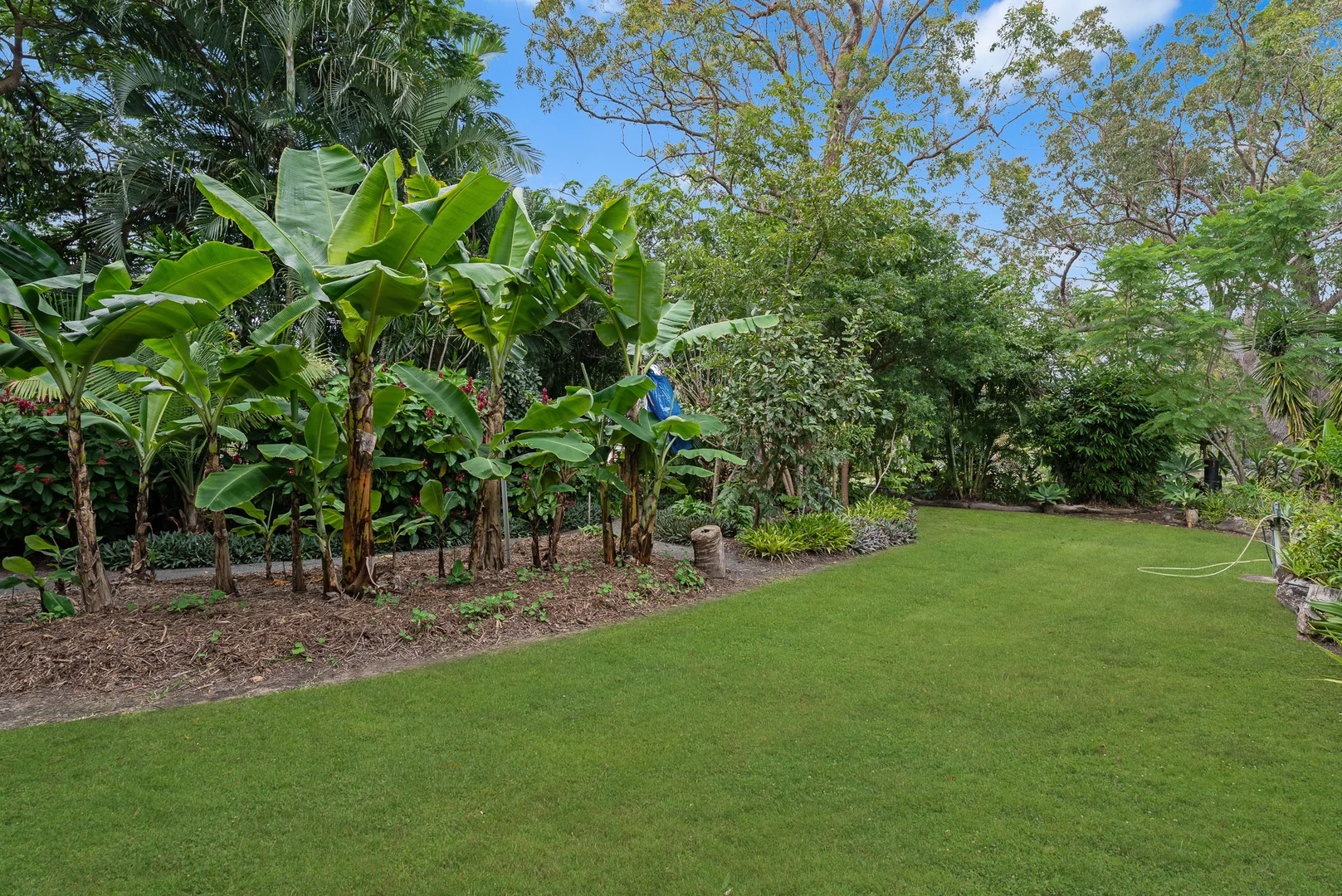 Additional image 27 of 19 Brooke Court, Oakhurst QLD 4650