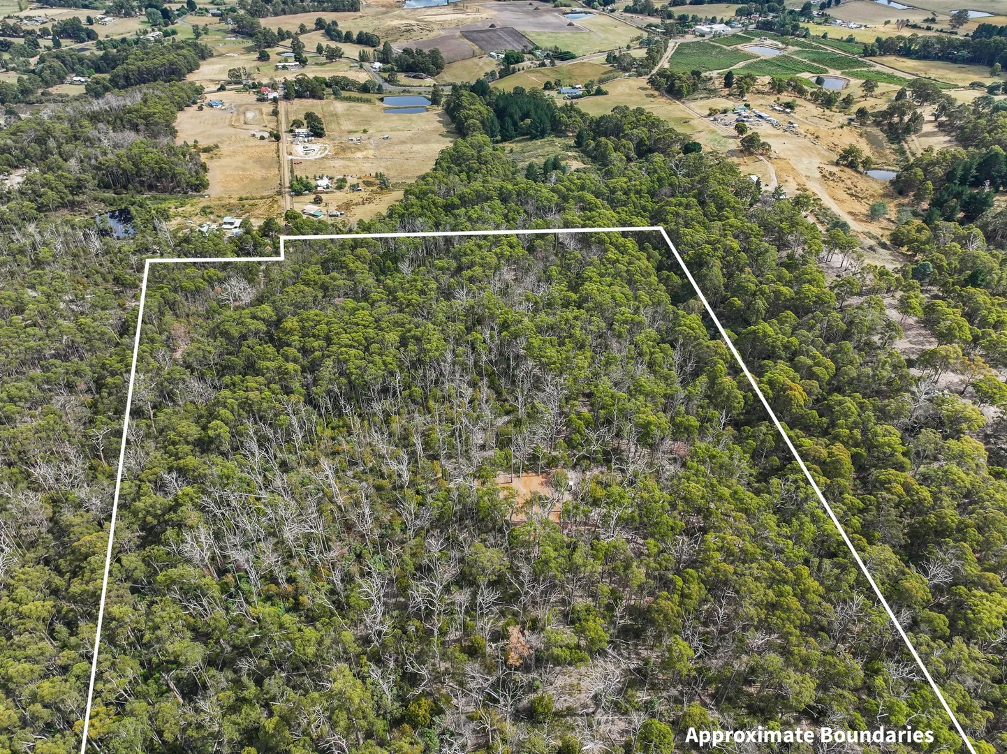 Additional image 9 of Lot 1 Slaters Road, Cradoc TAS 7109