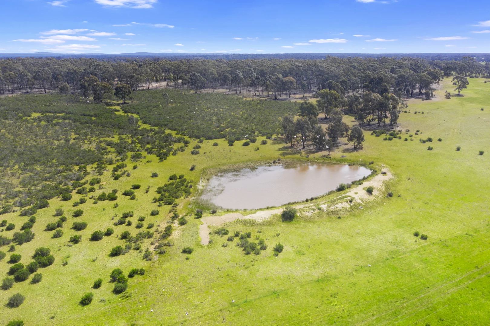 Additional image 10 of 1 Hawkins Estate, Axedale VIC 3551