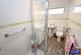 Additional image 7 of Wellhouse close, Wigston