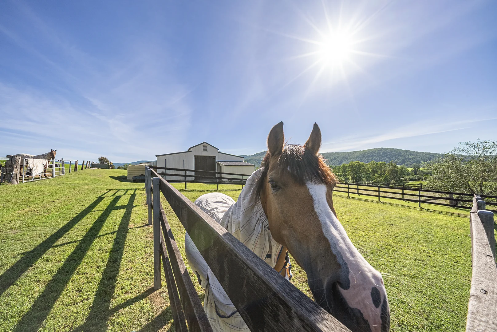 Additional image 37 of 729 Fosterton Road, Fosterton NSW 2420