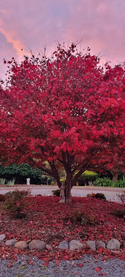 Additional image 22 of 77 Esperance Coast Road, Surges Bay TAS 7116