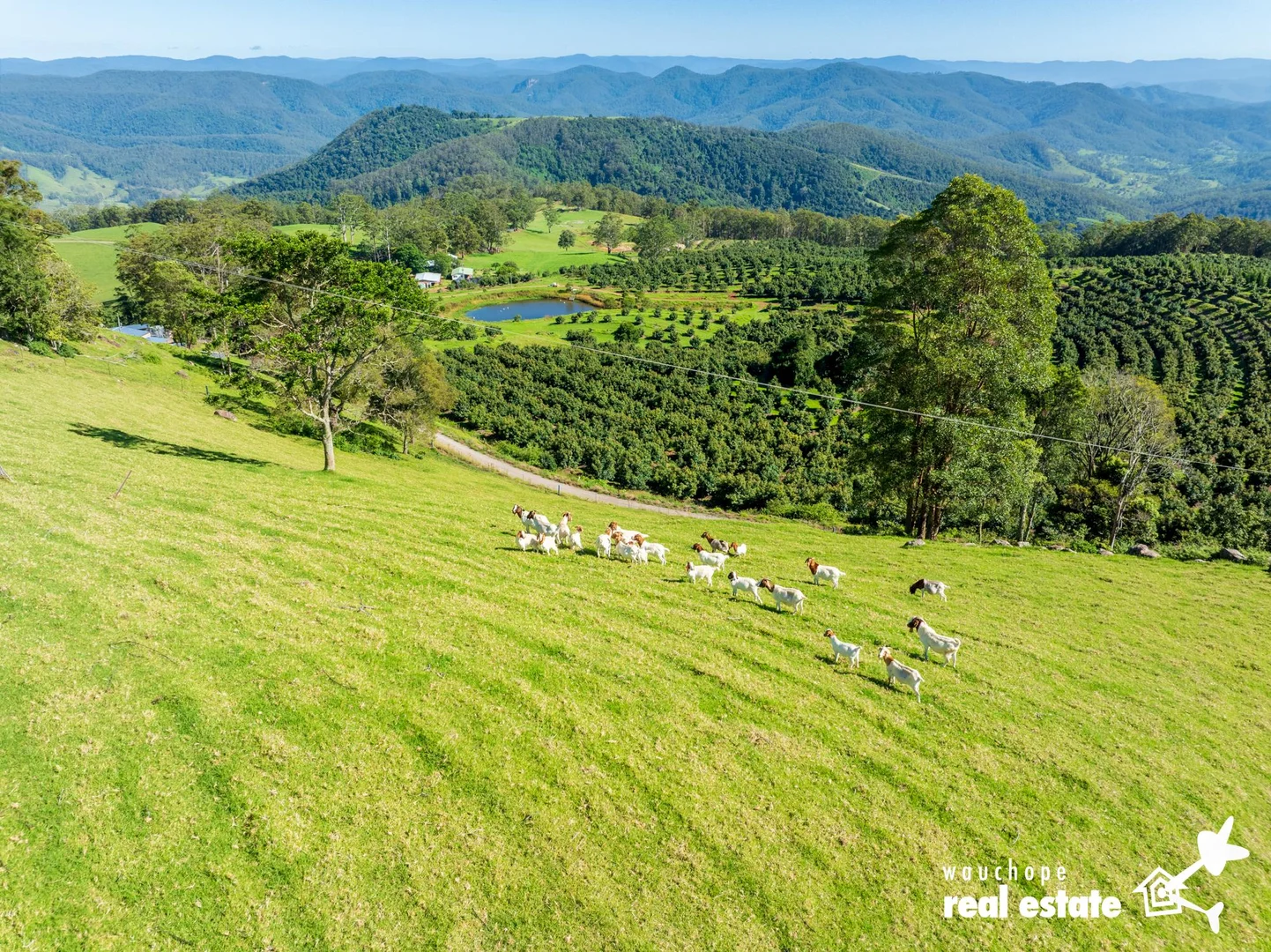 Additional image 23 of 933 Innes View Road, Innes View NSW 2429