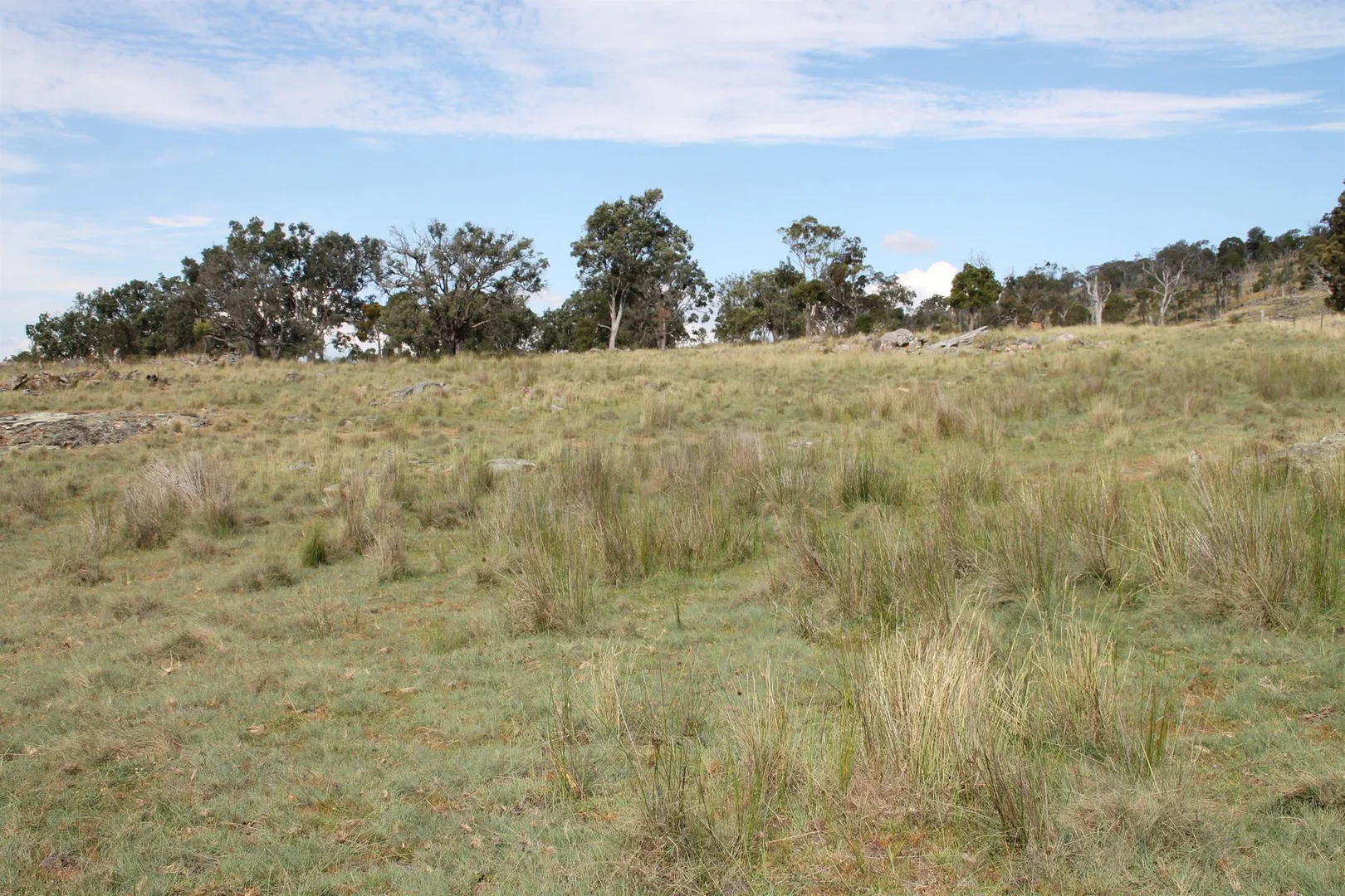 Additional image 3 of Lot 158 Woodside Road, Tenterfield NSW 2372