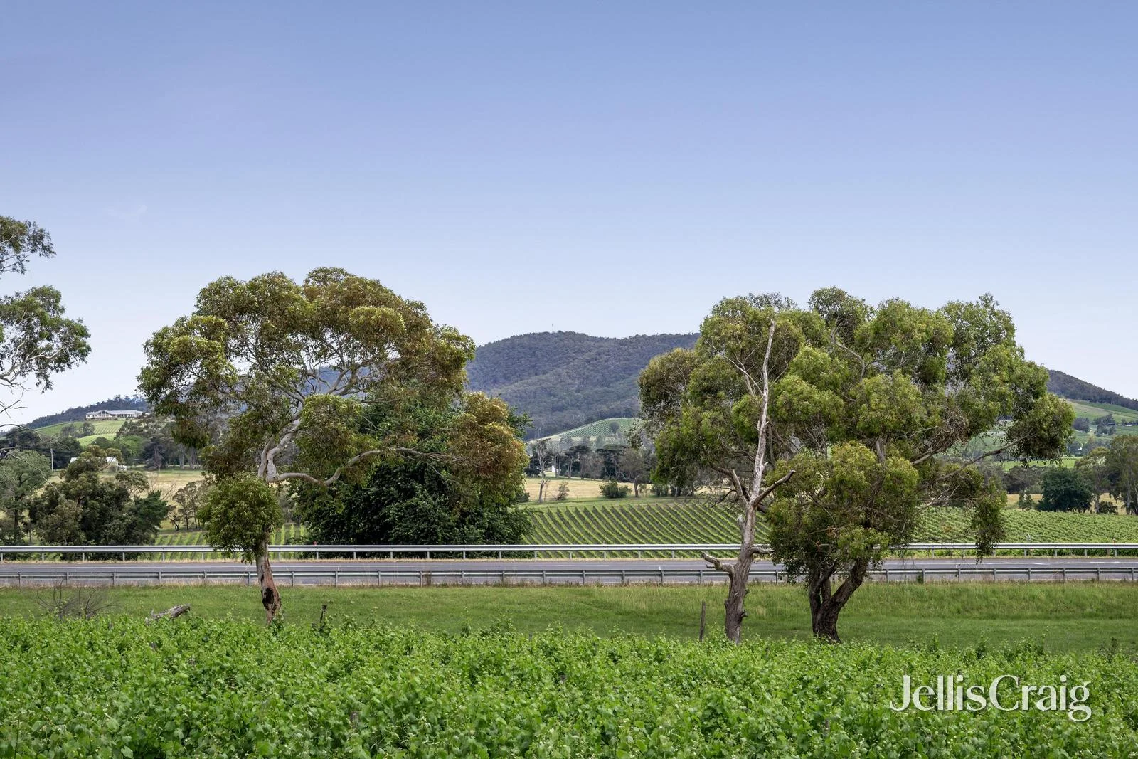 Additional image 14 of 2 Maxwells Road, Coldstream VIC 3770