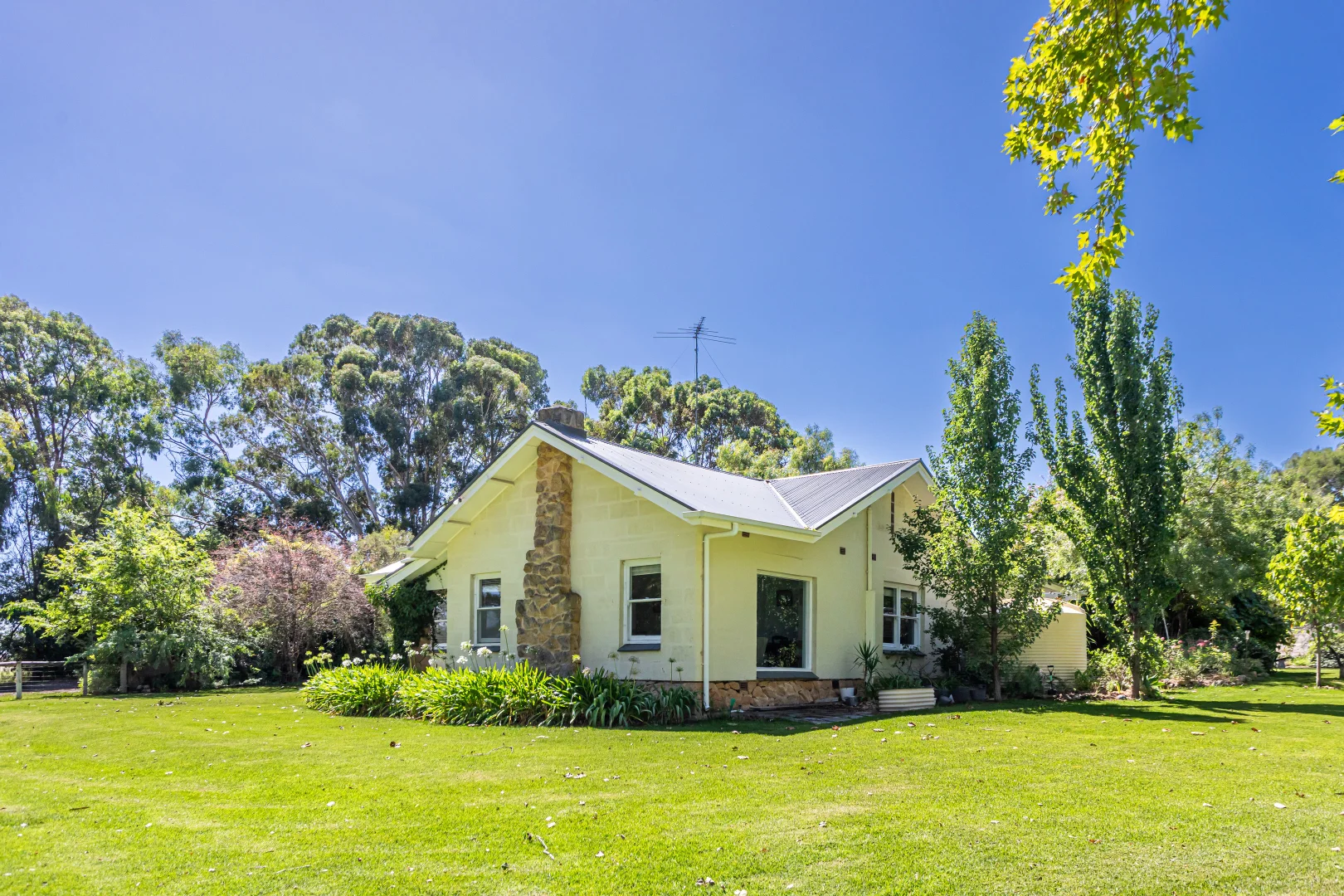 Additional image 6 of 10991 Riddoch Highway, Naracoorte SA 5271