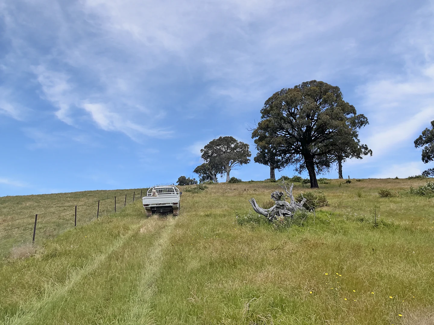 Additional image 5 of Mount Darling Road, Wyangala NSW 2808