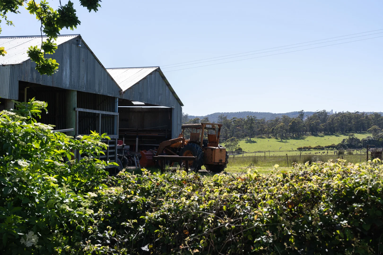 Additional image 20 of 120 Security Road, Pipers River TAS 7252