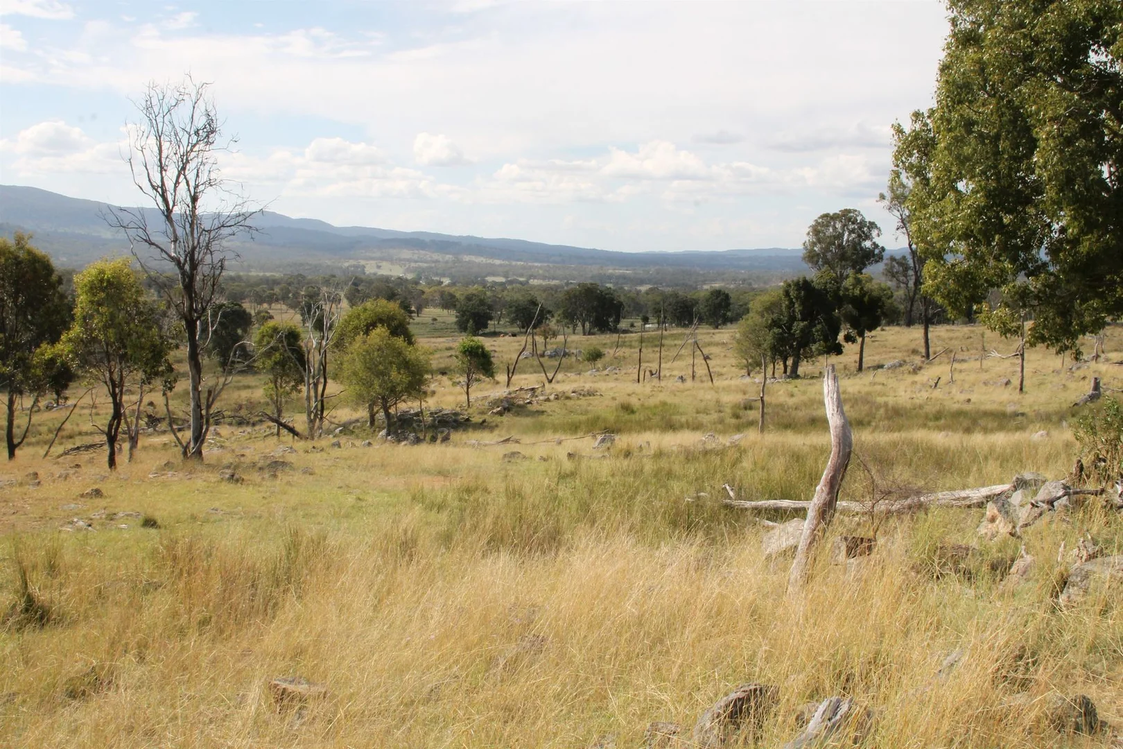 Additional image 4 of Lot 158 Woodside Road, Tenterfield NSW 2372