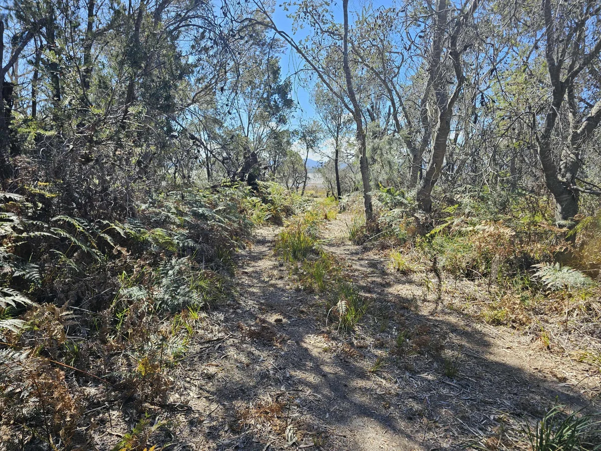 Additional image 19 of 1434 Coles Bay Road, Coles Bay TAS 7215