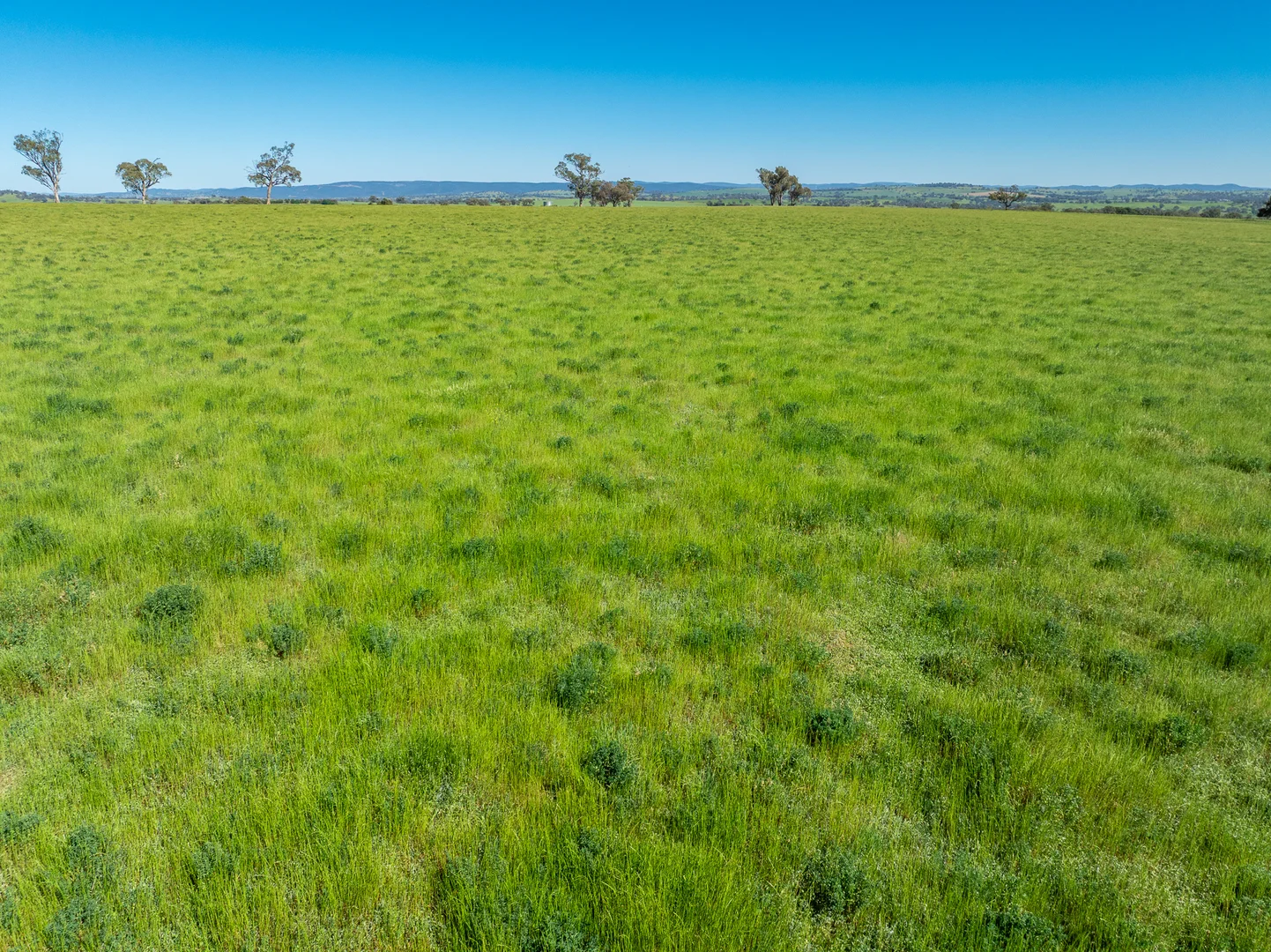 Additional image 20 of 1097 Davys Plains Road, Cudal NSW 2864