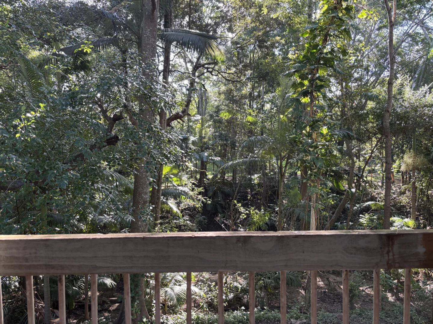 Additional image 12 of 4 Hospital Road, Nambour QLD 4560