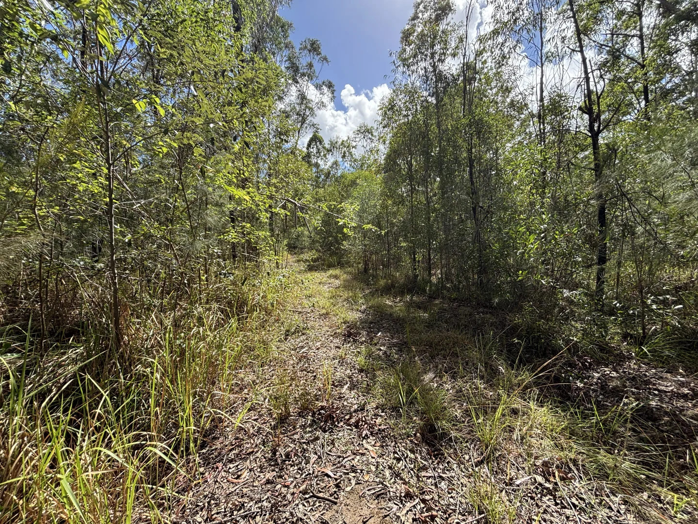 Additional image 21 of 337 Clearview Road, Coutts Crossing NSW 2460