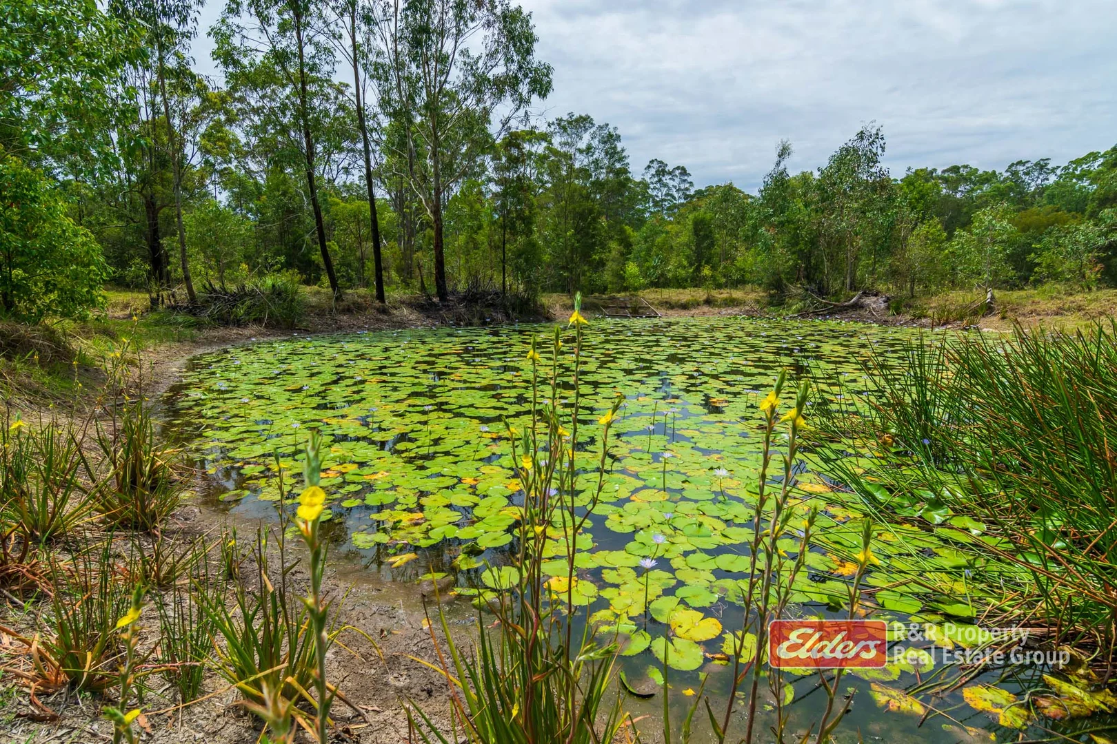 Additional image 17 of 647 Markwell Back Road, Markwell NSW 2423