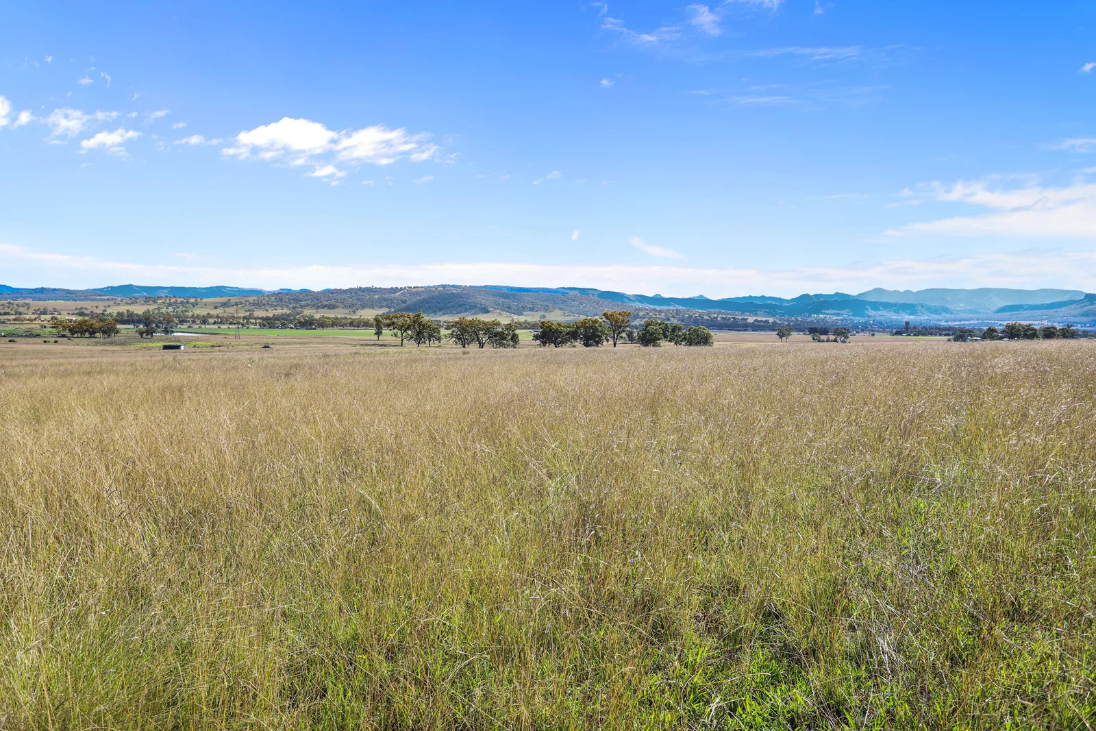 Additional image 5 of 260 Mareeba Road, Scone NSW 2337