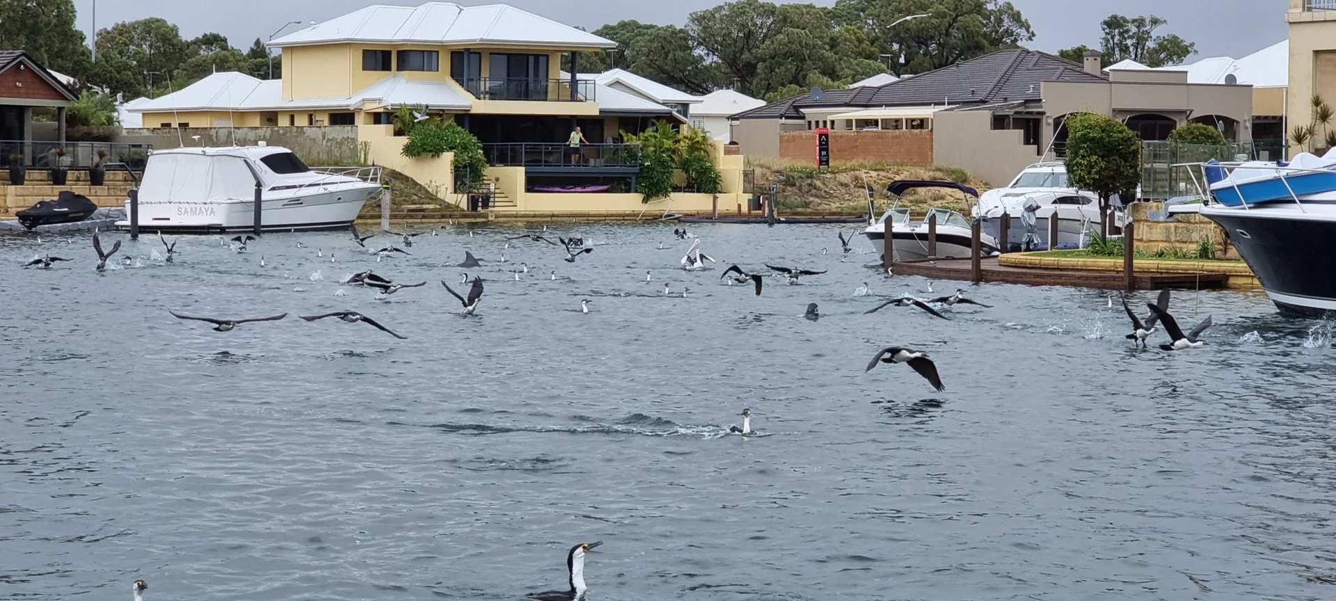 Additional image 27 of 29 Leisure Way, Halls Head WA 6210