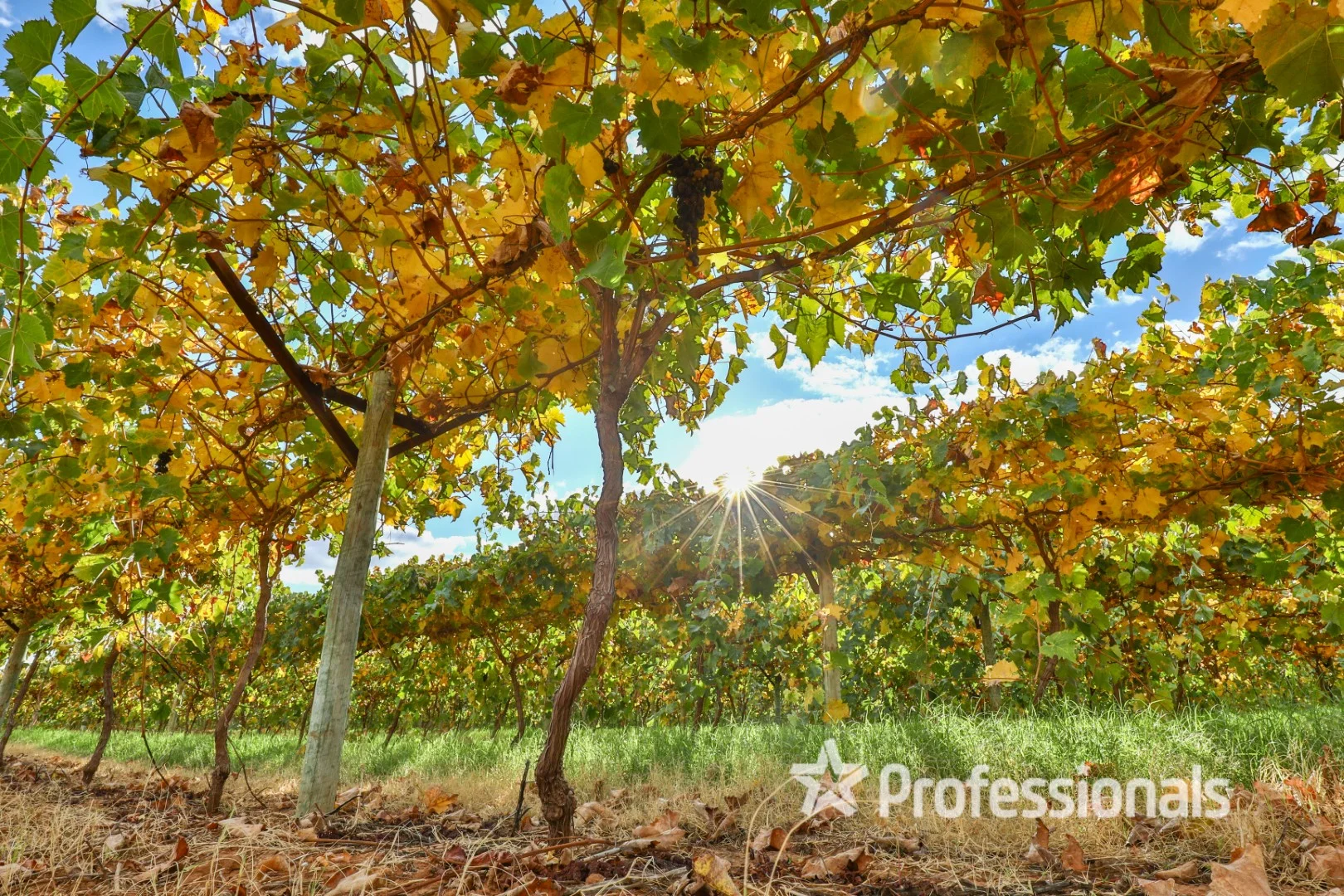 Additional image 3 of Lot 2 Myall Street, Cardross VIC 3496