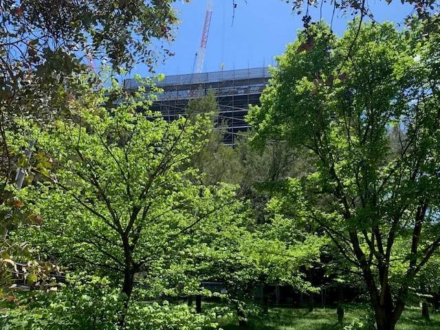 Additional image 20 of 14 Ibbott Lane, Belconnen ACT 2617