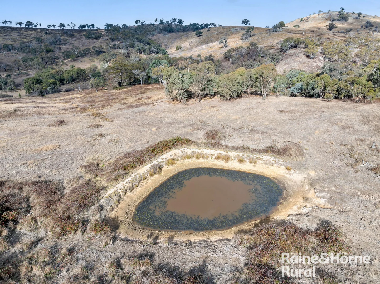 Additional image 22 of 1036 Greenmantle Road, Bigga NSW 2583