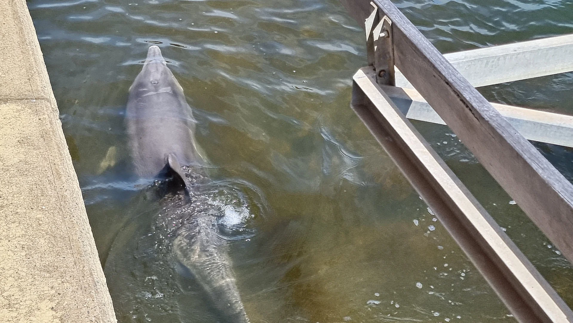 Additional image 25 of 29 Leisure Way, Halls Head WA 6210