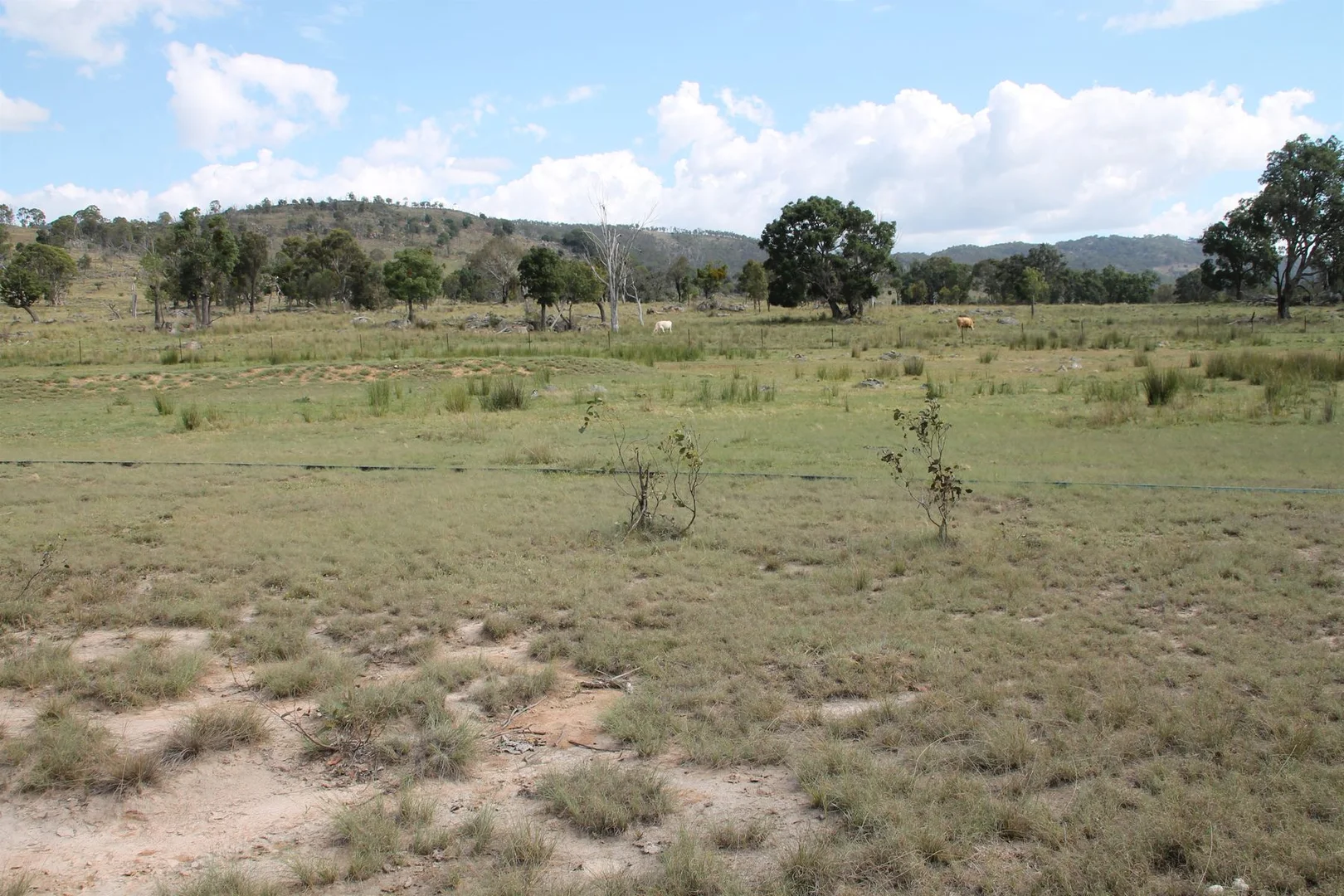 Additional image 15 of Lot 158 Woodside Road, Tenterfield NSW 2372