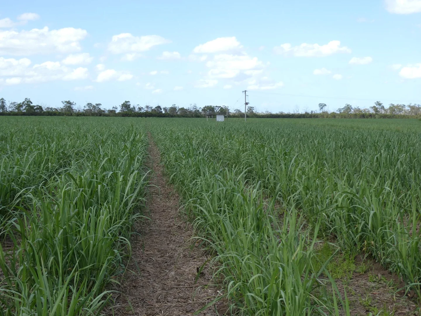 Additional image 11 of 3392 Childers Road, Gregory River QLD 4660