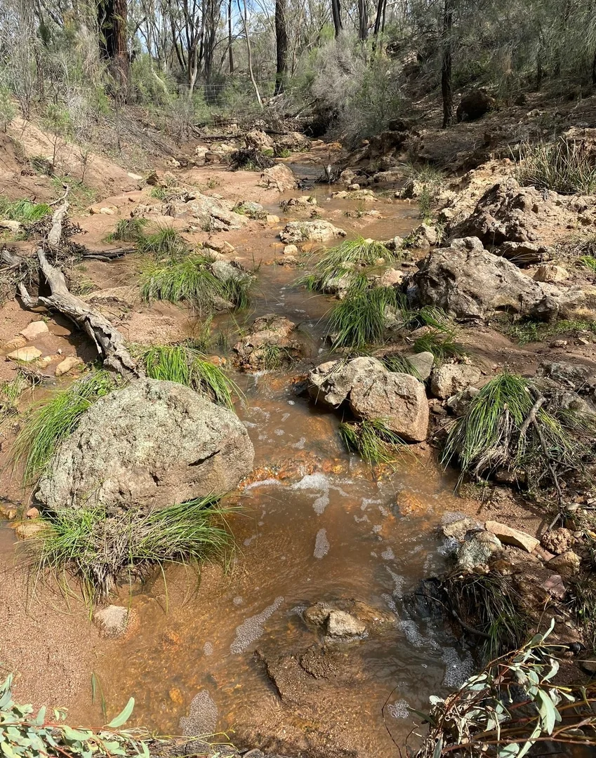 Additional image 21 of 47R Lagoon Creek Road, Minore NSW 2830