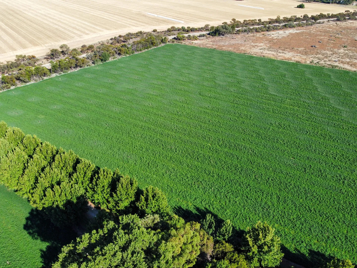Additional image 10 of 81 Back Boga Road, Swan Hill VIC 3585
