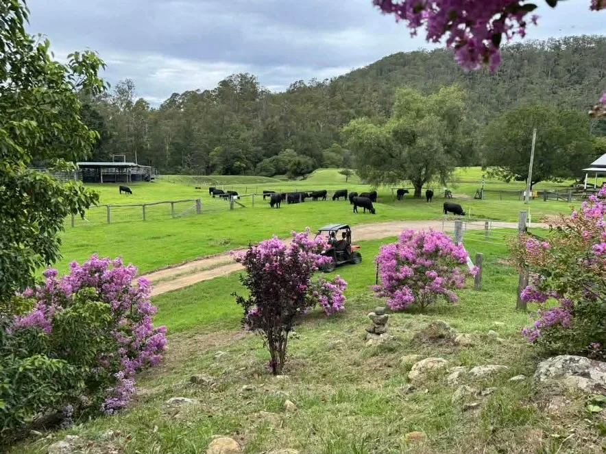 Additional image 38 of 689 Manchester Road, Via Gloucester, Bindera NSW 2422