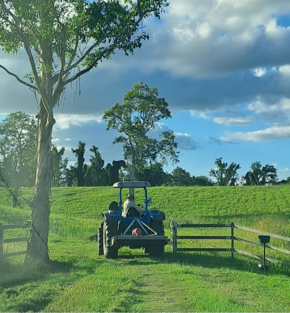 Additional image 21 of 495 Upper Stratheden Road, Kyogle NSW 2474