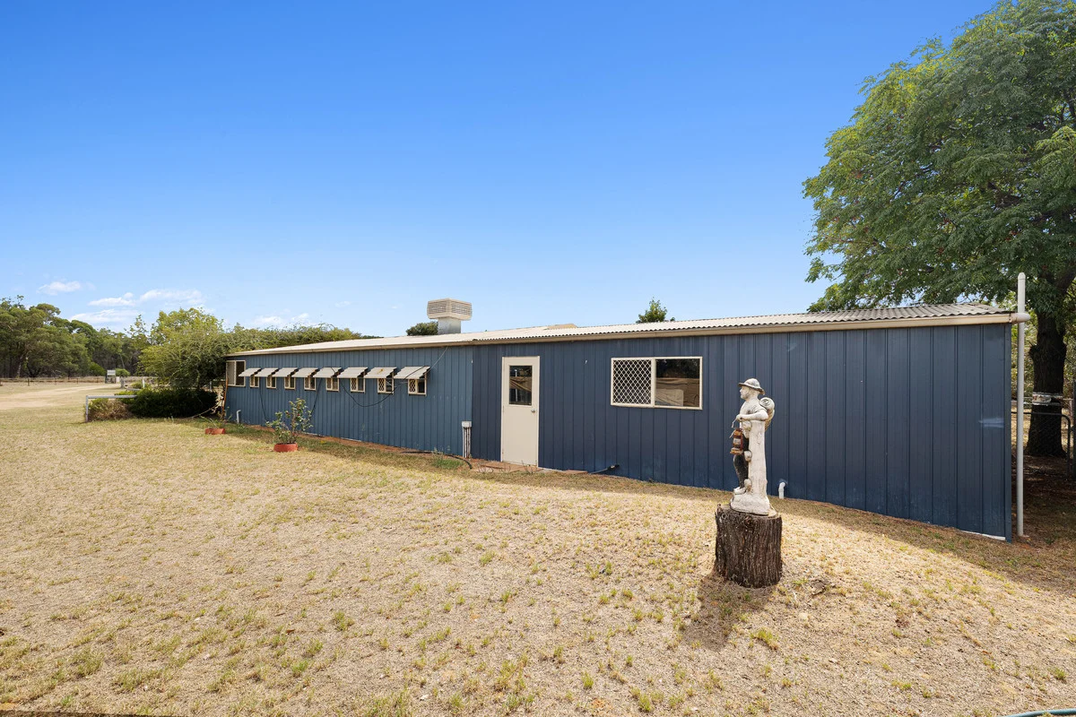 Additional image 17 of 9834 Newell Highway, Narrabri NSW 2390