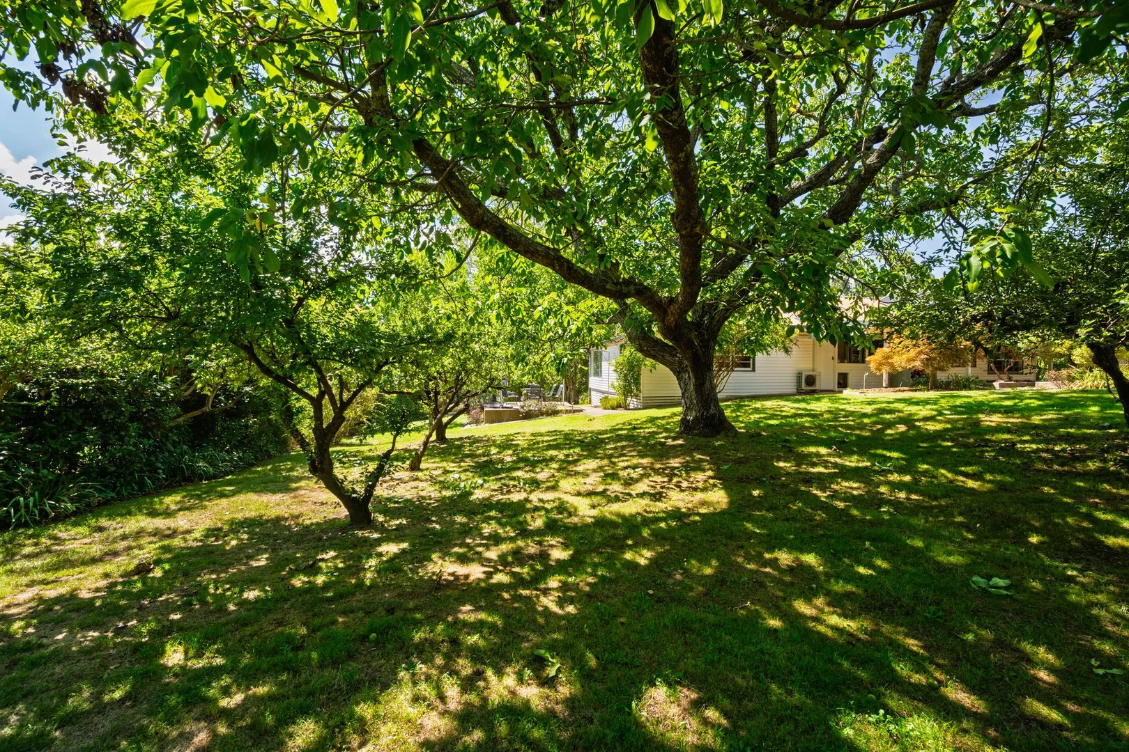 Additional image 23 of 3-5 Sommer Avenue, Bright VIC 3741