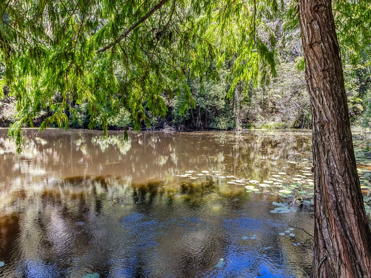 Additional image 3 of 837 Nobbys Creek Road, Nobbys Creek NSW 2484